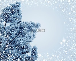 雪,圣誕節,度假