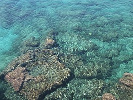 海,水,塞浦路斯
