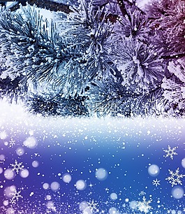 雪,圣誕節(jié),度假