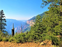 北部邊緣的大峽谷,上午,徒步旅行
