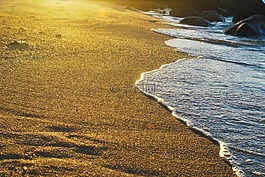 海濱,海灘,水