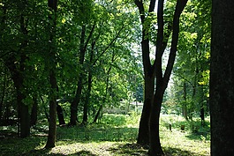 podlaski,突破,錯(cuò)誤