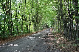 podlaski,突破,路徑