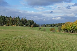 草地,觀點(diǎn),景觀