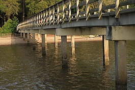 碼頭,釣魚碼頭,岸