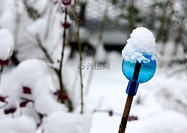 冬天,雪,藍(lán)色