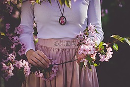 花,盛開,花瓣