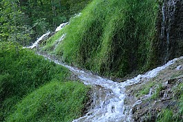 溪,水,流