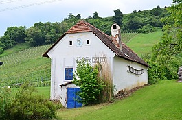 建設(shè),葡萄園,地窖