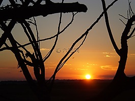 黃昏,日落,景觀