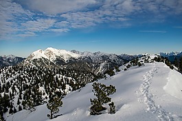阿爾卑斯山,山,景觀