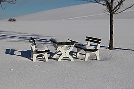 寒冬,雪,冬天