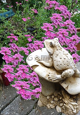 青蛙,花園,雕像