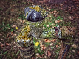 水龍頭,花園,哈恩