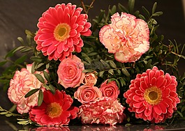 花,廠,花香