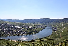 mosel,景觀,葡萄種植