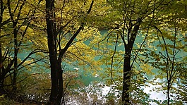 綠色,湖,性質