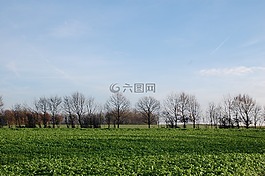 性質(zhì),景觀,場