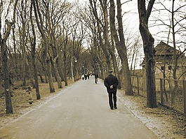 公園,在腳上,在免費(fèi)