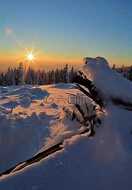 冬季,雪,日落