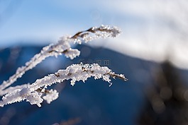 冬天,雪,冰