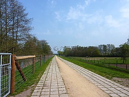 德國(guó),景觀,籬笆