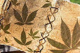 大麻,書