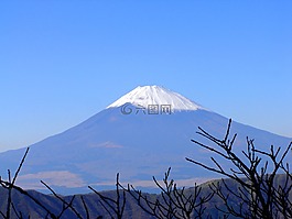 富士,山,日本