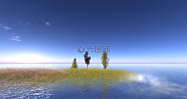 性質,草,天空