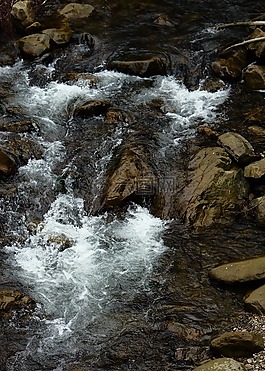 水,河,波