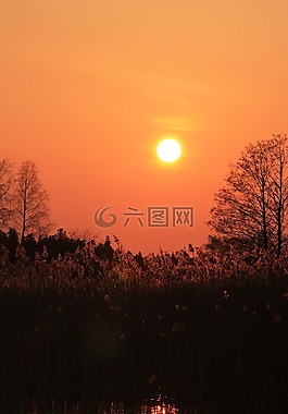 日落,水,陰影