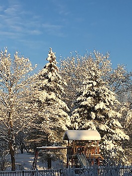 冬天,雪,季節(jié)