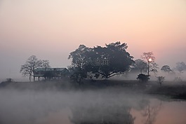 日出,農(nóng)村,上午