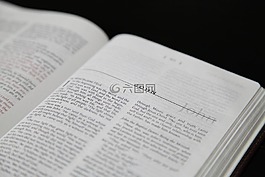 文學(xué),圣經(jīng),約翰