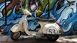 黑盾胡蜂,摩托車,滑板車