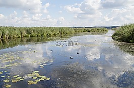 景觀,春天湖,自然保護(hù)區(qū)