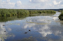 景觀,春天湖,自然保護(hù)區(qū)