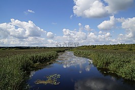 景觀,春天湖,自然保護(hù)區(qū)
