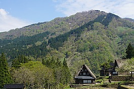 視圖,白川鄉,春天