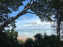 島,樹,海灘