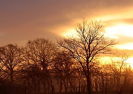 日出,早上,morgenstimmung