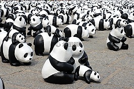 熊貓,展覽,顯示