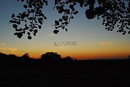 日落,太陽,森林