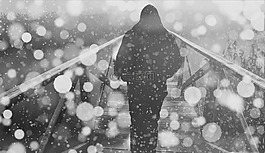 人,橋,雪