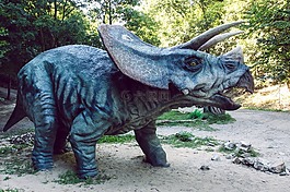 dinopark,恐龙,triceraptos