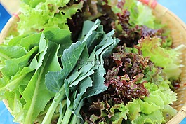 蔬菜,生菜,购物篮