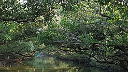 臺南,臺灣,河