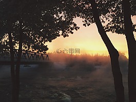 日落,景觀,橋