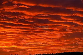 日落,天空,紅色