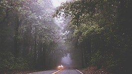 路,霧,薄霧